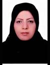 علوم انسانی مجموعه زبان و ادبیات فارسی زبان و ادبیات فارسی