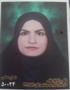علوم انسانی فلسفه فلسفه