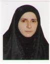 علوم پایه مجموعه ریاضی ریاضی کاربردی